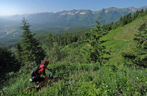 Fernie Cabin | Ski-in Cabin with private hot tub + Balcony!