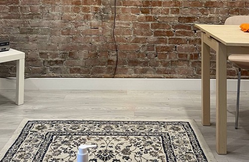 Plateau Mont Royal Apartment | Spacious apartment - M.&. M. C. Tourista.