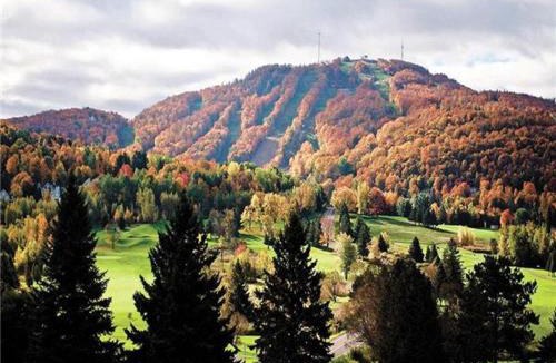 Bromont Apartment | Spacious Condo - Pool & BBQ - Ski, MTB, Golf, Telework - Le Champlain