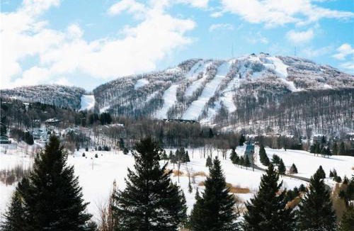 Bromont Apartment | Spacious Condo - Pool & BBQ - Ski, MTB, Golf, Telework - Le Champlain