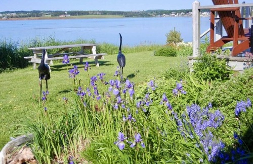 North Rustico Cottage | Spectacular sunsets on Rustico Bay