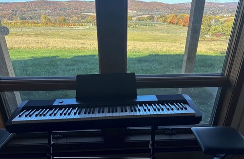 Town of Copake House | Stunning views & charming spacious 4-BR home pool and fireplace in Copake Falls