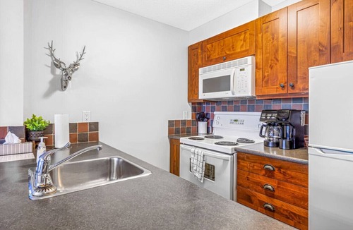 East Kootenay Apartment | Summit Synergy | Ski-In/Out | Next to Spring Pools