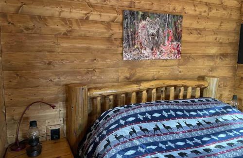 Division No. 11 House | The Lynx cabin - Bear Creek Cabins