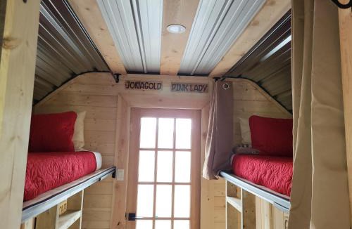 Radium Hot Springs Hostel | THE ORCHARD (HOSTEL WITH PRIVATE BUNKS)