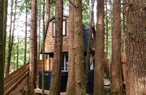 Ucluelet Cabin | The Sapling Cabin by Evergreen Forest Cabins