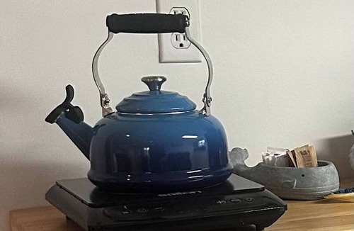 Terra Nova Apartment | The Whistling Kettle | King Studio Near Downtown