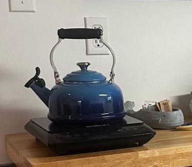 Terra Nova Apartment | The Whistling Kettle King Studio Near Downtown