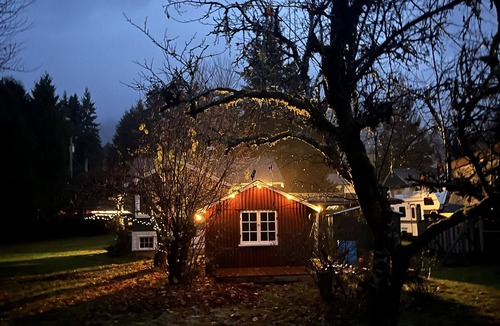 Lake Cowichan Cottage | Waterfront cottage with a private dock, large yard and backyard bar/game room!