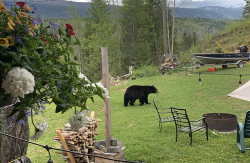 Clearwater House | Wells Gray Hideaway
