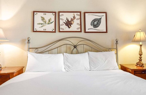 Blackcomb Hotel | Whistler - Glacier Lodge 113