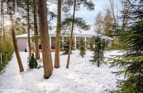 Tiny Cottage | Winter, all new and modern cottage
