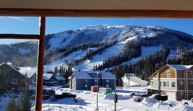 1 bedroom condo w/PRIVATE hot tub & INCREDIBLE mountain views!
