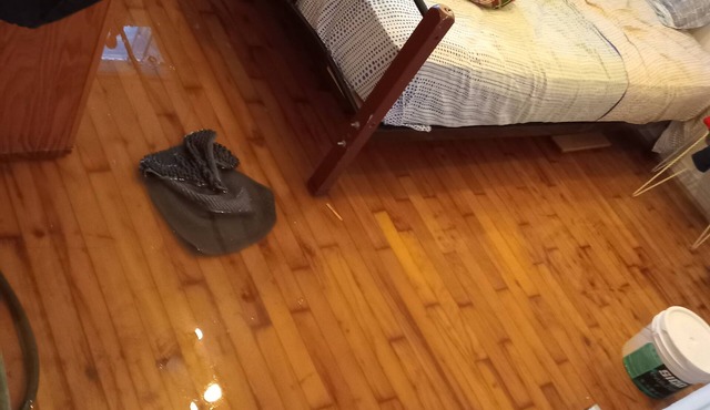2 1/2 bachelor for rent