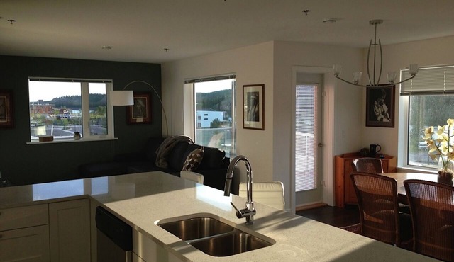 2 Bedroom Apt RIVER & MOUNTAIN VIEWS , IN THE HEART OF WHITEHORSE - condo