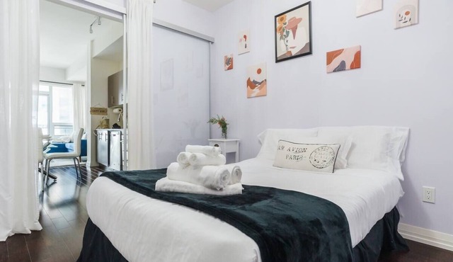 2 bedrooms apartment in a Chic condo in the heart of Toronto