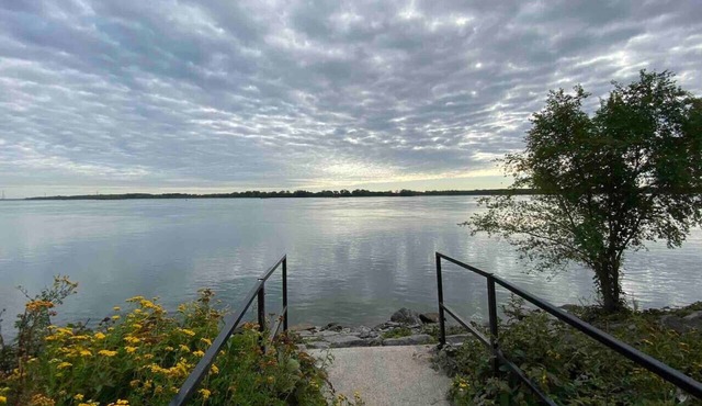 3,5 rénové près bus,parc,fleuve