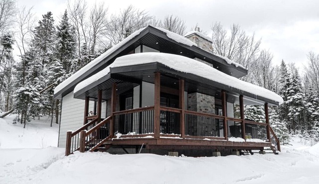 307 ch. Lac-Dion, Saint-Damien