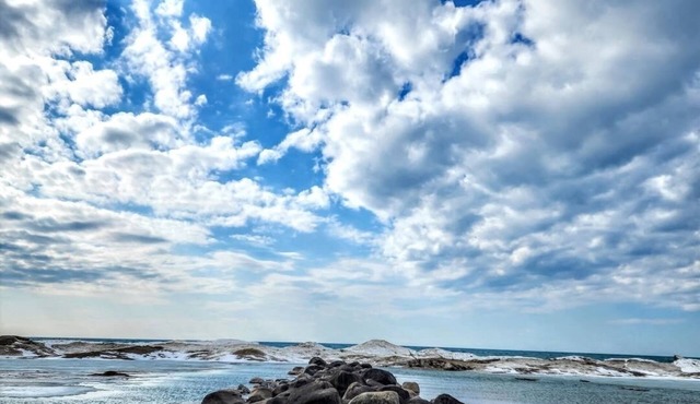 5 Minutes to Southampton's gorgeous beach! Family and pet friendly cottage.