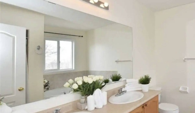 A semi detached 3 bedroom house