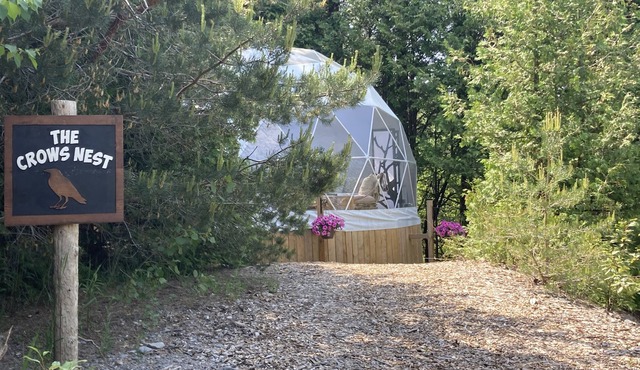 A unique geodome glamping experience in the Oak Ridges Moraine Forest.