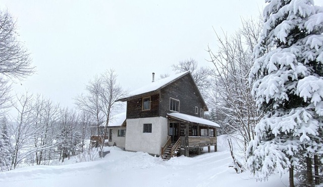 Amazing Domain with modern log cabin on the lake front