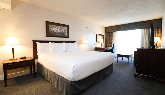 Atrium Inn Vancouver