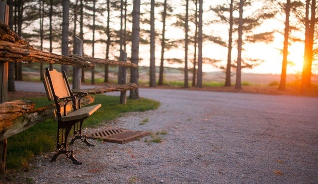 Awaken to nature’s beauty at Whispering Pines Retreat!