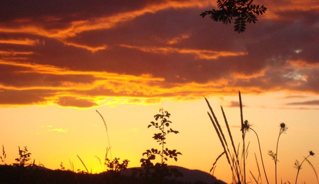 Beach Bum Cabin with awesome water views, sunsets and bird watching.