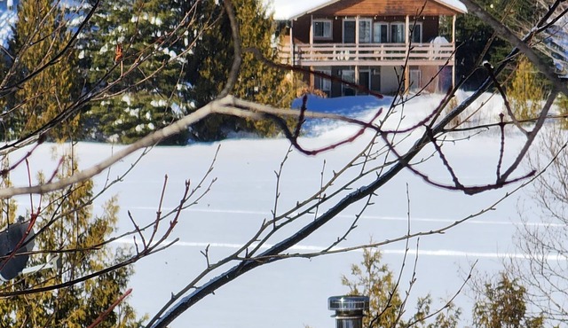 Beautiful waterfront cottage. Ideal for families.
