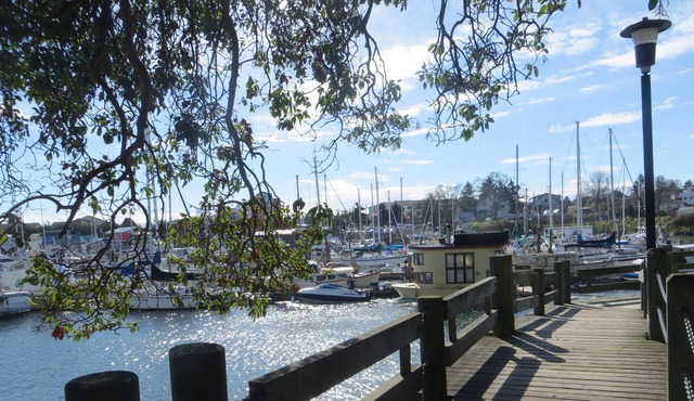 Beautiful 1 or 2 Bedroom Suite in Victorian Home - close to the water