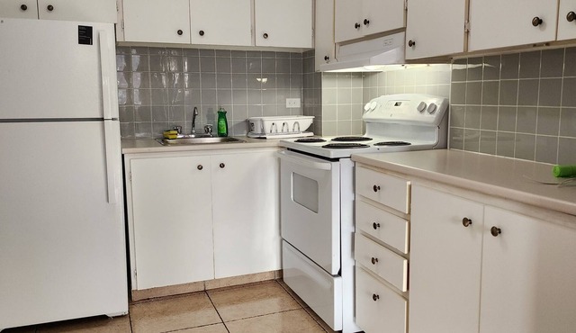 Beautiful apartment in the heart of Montroyal