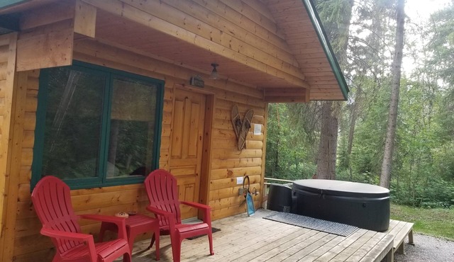 Beautiful Cabin with private hot tub in quiet setting