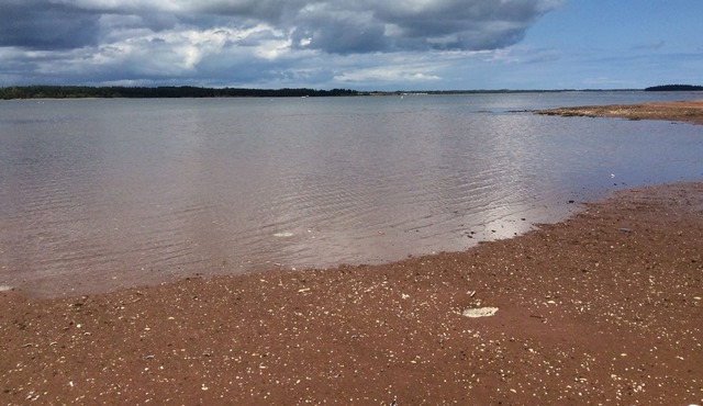 Belleview Beach House cottage with more than 1500 feet waterfront beach....