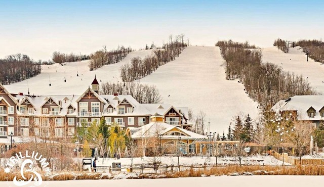 Blue Mountain Luxury Studio