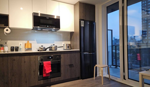 Brand New Downtown cozy condo