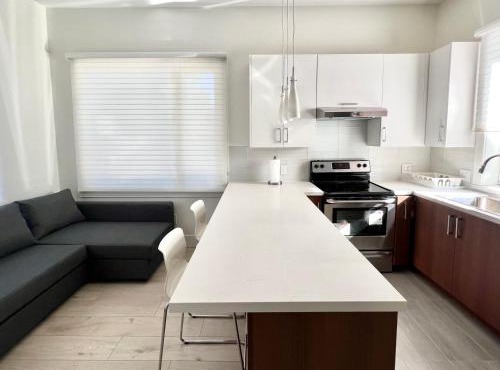 Brand New Modern Laneway House