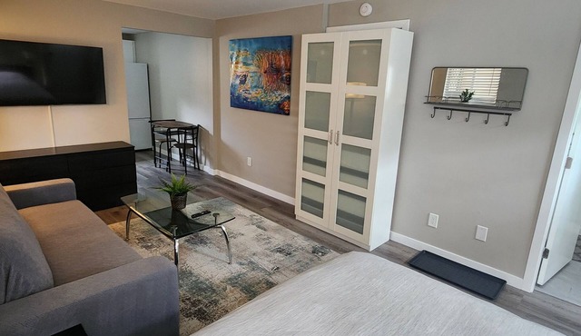 Bright and cozy fully furnished studio.
