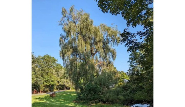 Bright And Cozy Stay in Woodstock/ Saugerties