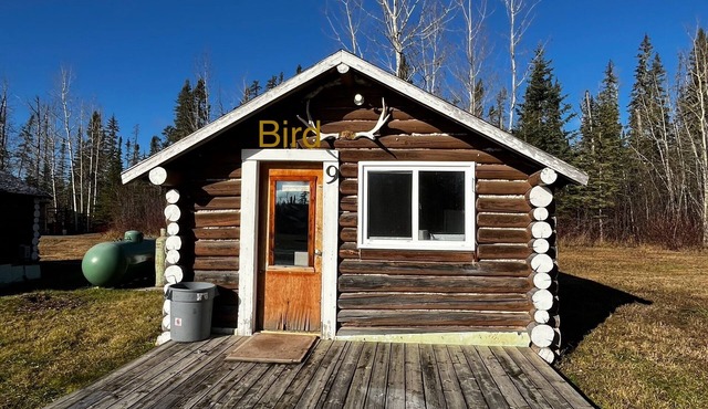 Buck Fever Services - Loding, Convenience +, Fluids, Wifi, Outdoors, Rental, etc