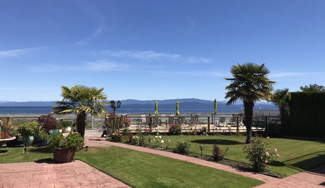 Buena Vista by the Sea