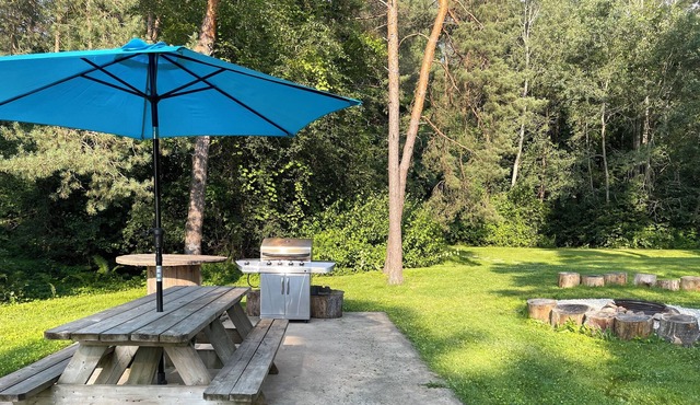 Bunkie in the Forest