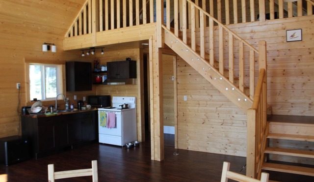 Cabin Ideal for Artists' /Writers' Retreat