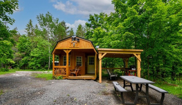 Cabin in The Woods at Northern Retreat