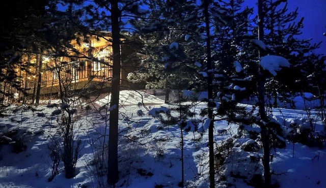 Cabin in the woods