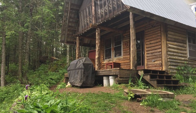 CABIN overlooking pond + HIKING to waterfalls & lookouts (completely off-grid)