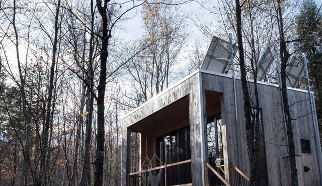 Cabin Zoobox 56 Summa