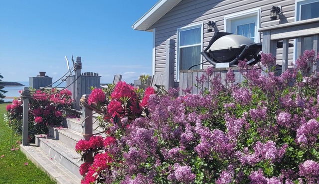Canoe Cove Beach Waterfront Cottage PEI Private Oasis on the Water.