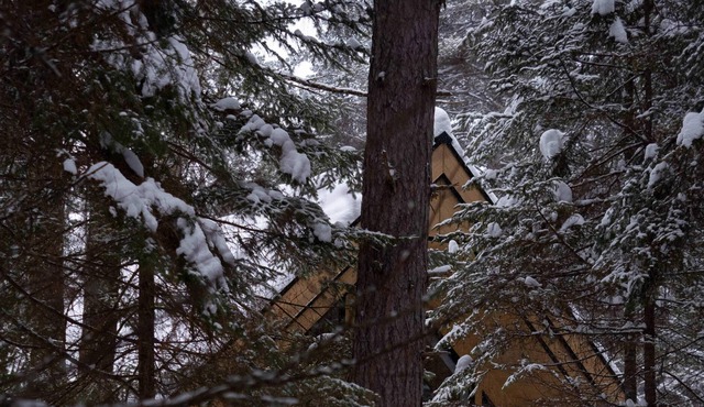 Chalet le Colvert- Petfriendly($)