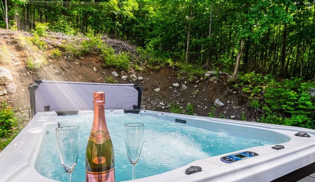 Chalet, swim spa, billiards and fireplaces at Lac Sept-Îles